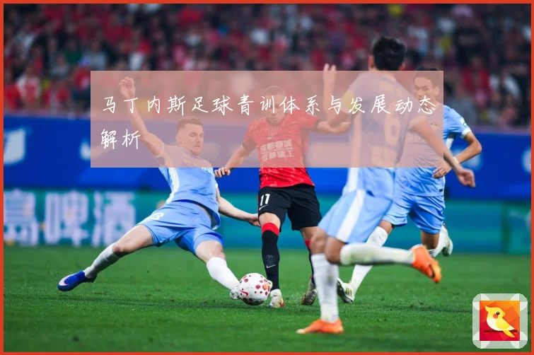 马丁内斯足球青训体系与发展动态解析